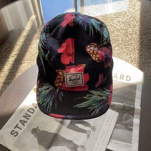 Herschel 5 Panel